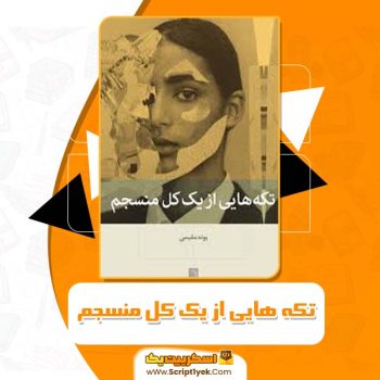 کتاب تکه هایی از یک کل منسجم پونه مقیمی PDF