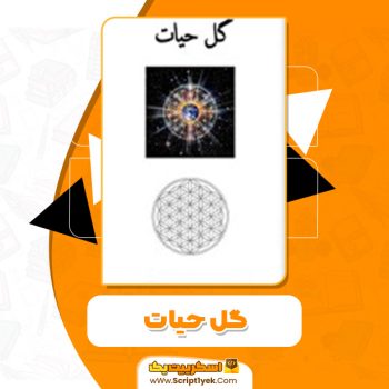 کتاب گل حیات درونوالو ملچیزدک PDF